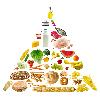 Food Sensitivity Blood Test